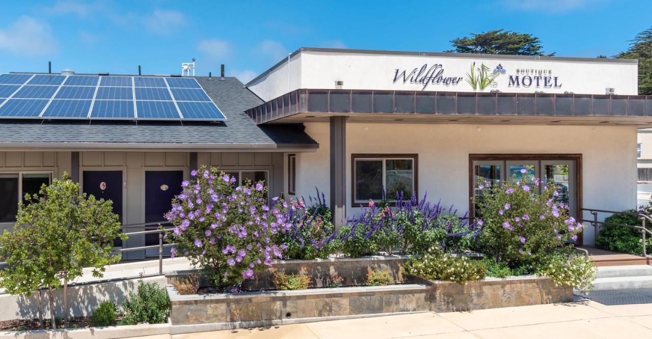 Wildflower Boutique Motel Point Arena Exterior photo